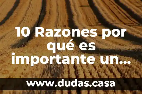 10 Razones por qué es importante un profesor