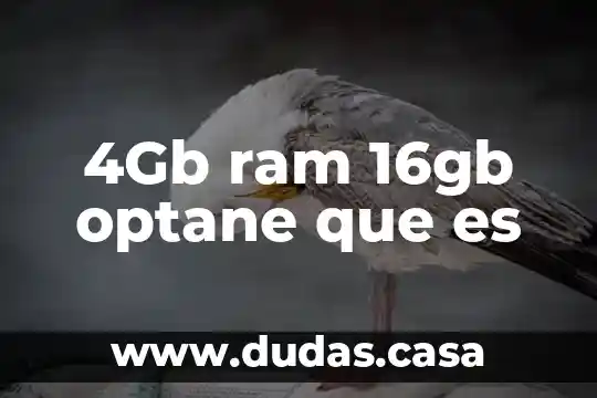4Gb ram 16gb optane que es