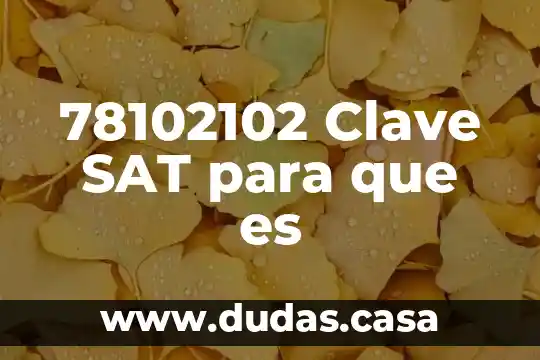 78102102 Clave SAT para que es