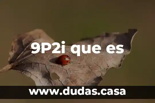 9P2i que es