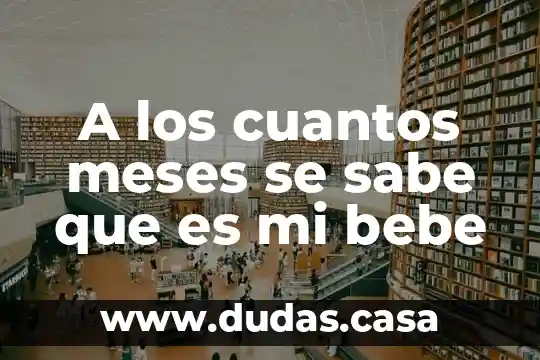 A los cuantos meses se sabe que es mi bebe