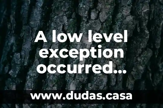 A low level exception occurred premiere que es