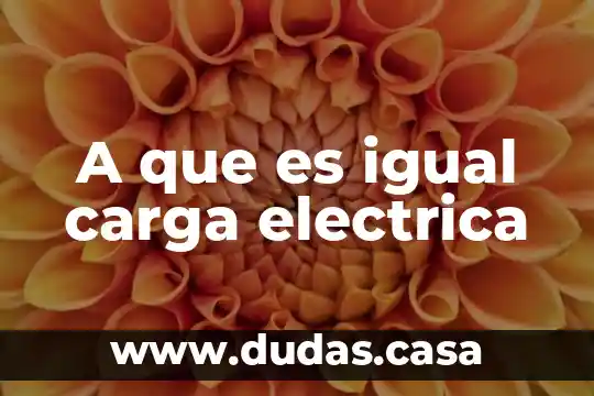 A que es igual carga electrica