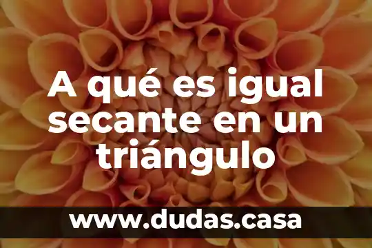 A qué es igual secante en un triángulo