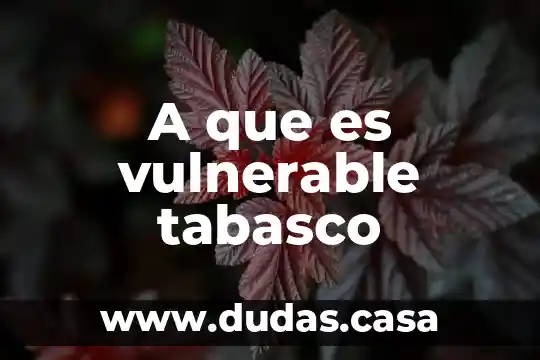 A que es vulnerable tabasco