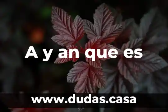 A y an que es