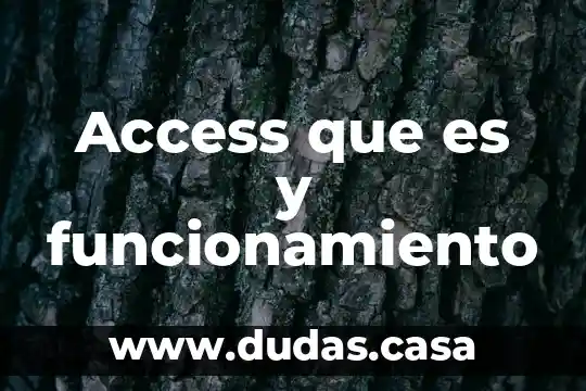 Access que es y funcionamiento