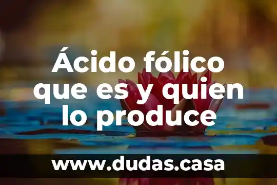 Ácido fólico que es y quien lo produce