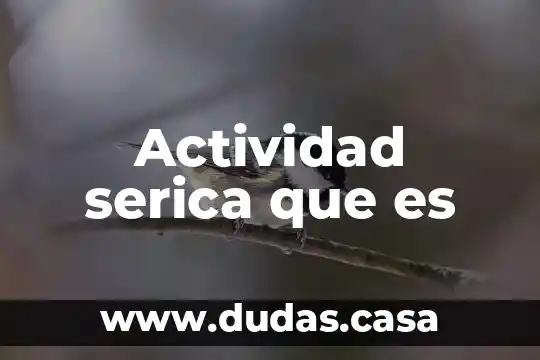Actividad serica que es
