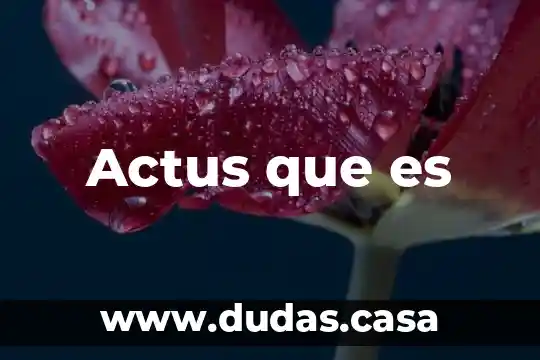Actus que es