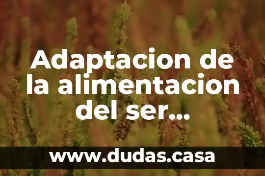 Adaptacion de la alimentacion del ser humano que es