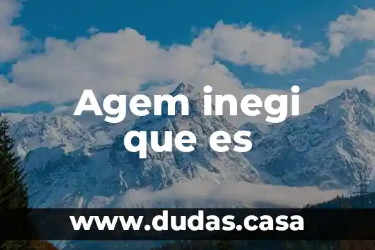 Agem inegi que es