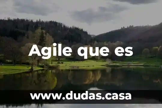 Agile que es
