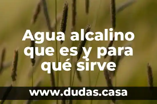 Agua alcalino que es y para qué sirve