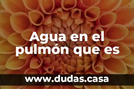 Agua en el pulmón que es