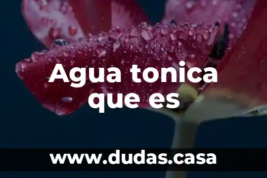 Agua tonica que es