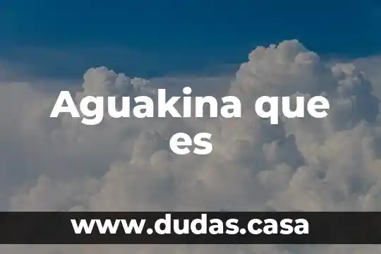 Aguakina que es