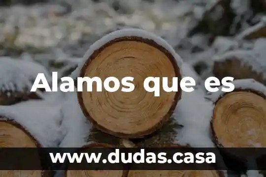 Alamos que es