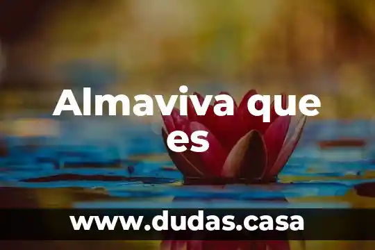 Almaviva que es