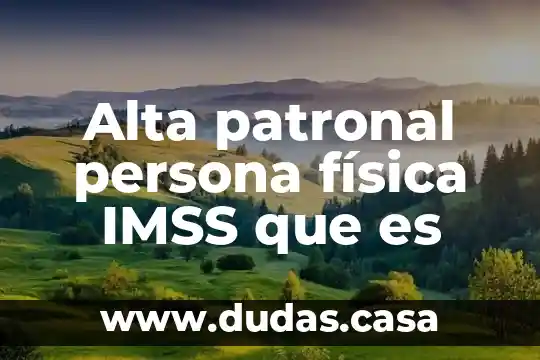 Alta patronal persona física IMSS que es