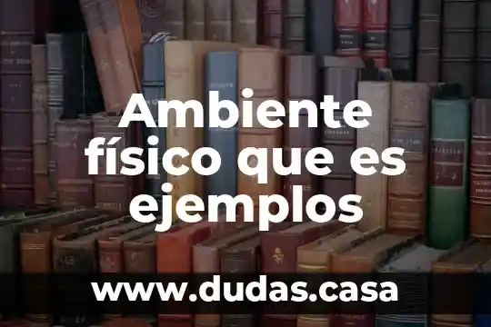 Ambiente físico que es ejemplos