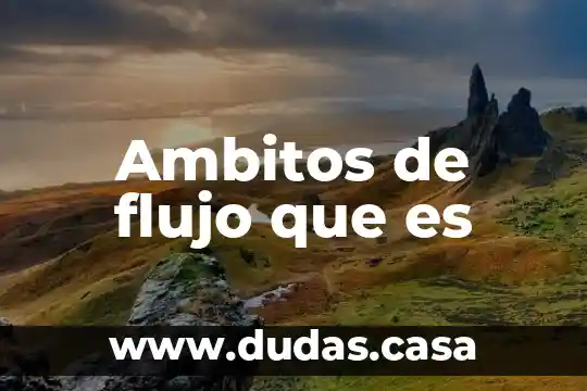 Ambitos de flujo que es