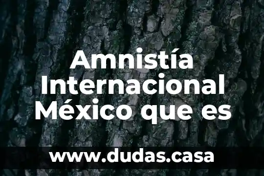 Amnistía Internacional México que es