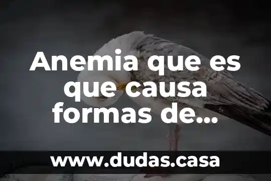 Anemia que es que causa formas de prevenir