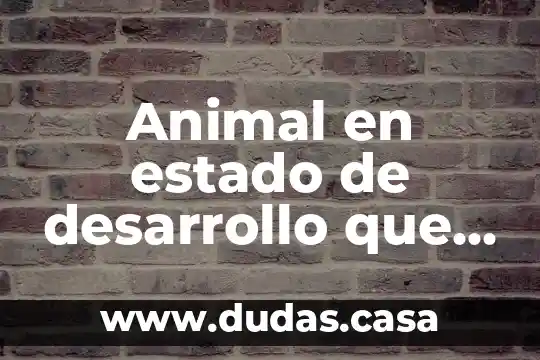 Animal en estado de desarrollo que es capaz de nutrirse