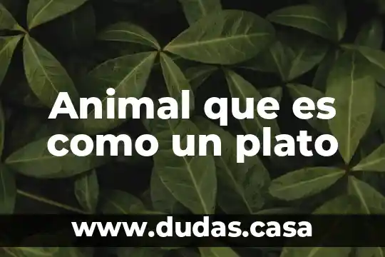 Animal que es como un plato