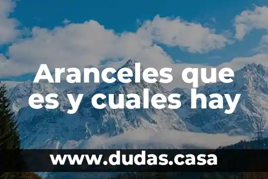 Aranceles que es y cuales hay