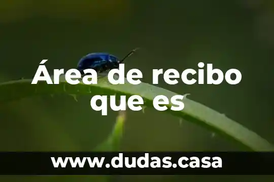 Área de recibo que es