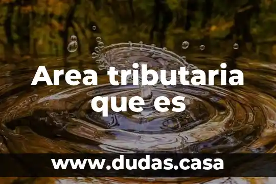 Area tributaria que es