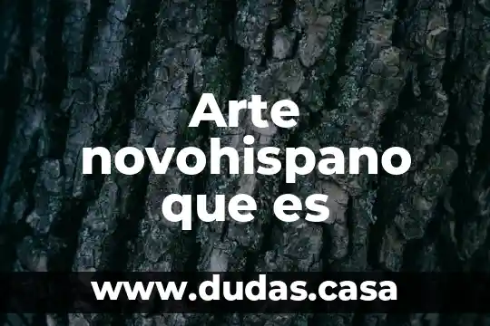 Arte novohispano que es