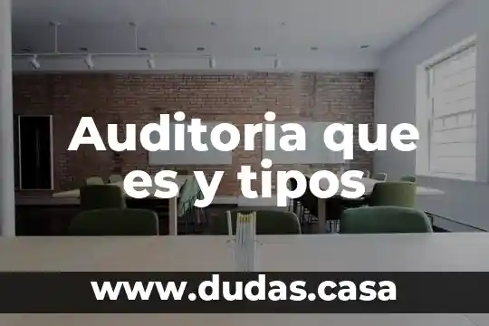 Auditoria que es y tipos