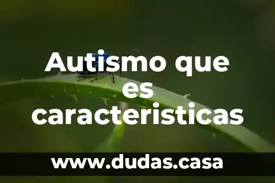 Autismo que es caracteristicas