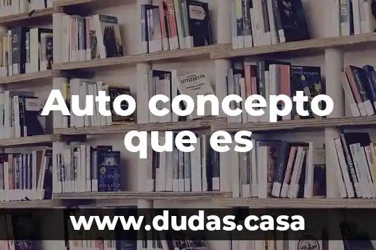 Auto concepto que es