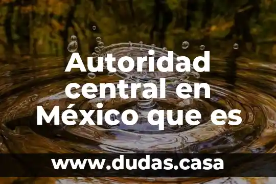 Autoridad central en México que es