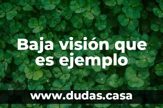 Baja visión que es ejemplo