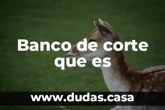 Banco de corte que es