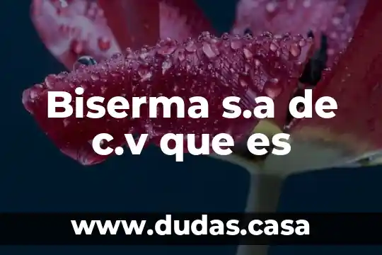 Biserma s.a de c.v que es