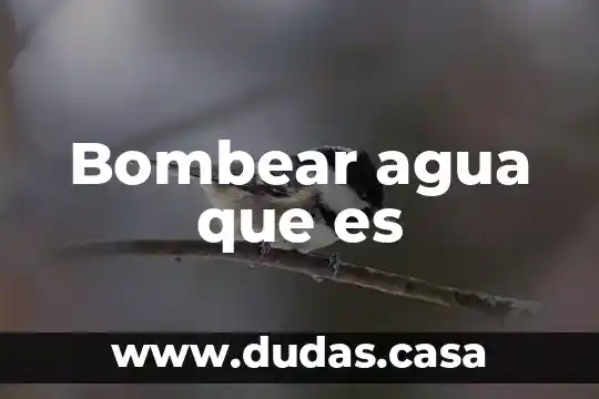 Bombear agua que es