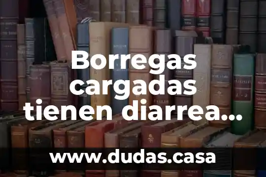 Borregas cargadas tienen diarrea que es bueno