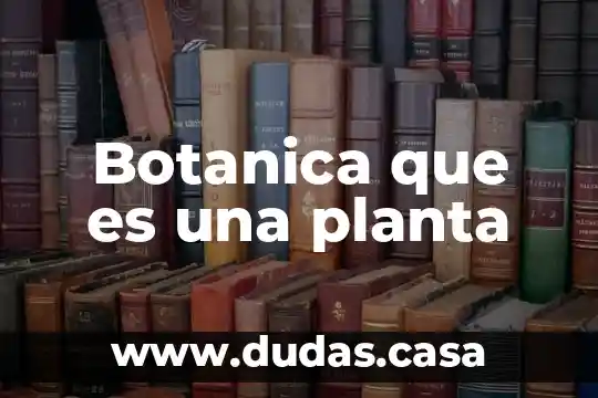 Botanica que es una planta