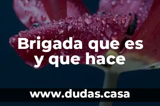 Brigada que es y que hace