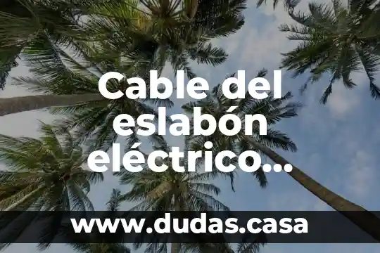 Cable del eslabón eléctrico funcionamiento o que es