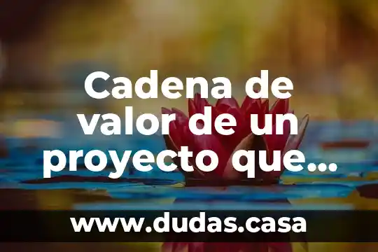 Cadena de valor de un proyecto que es
