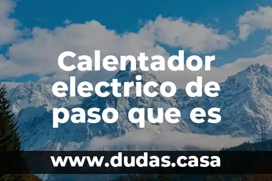 Calentador electrico de paso que es