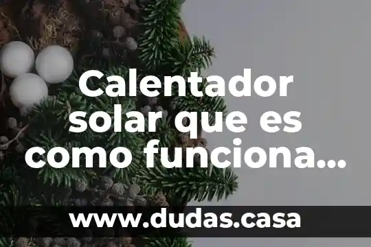 Calentador solar que es como funciona precios etc