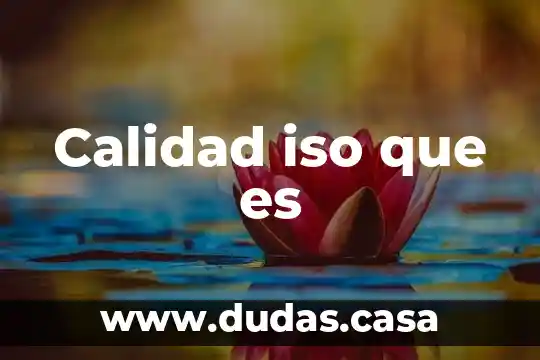 Calidad iso que es